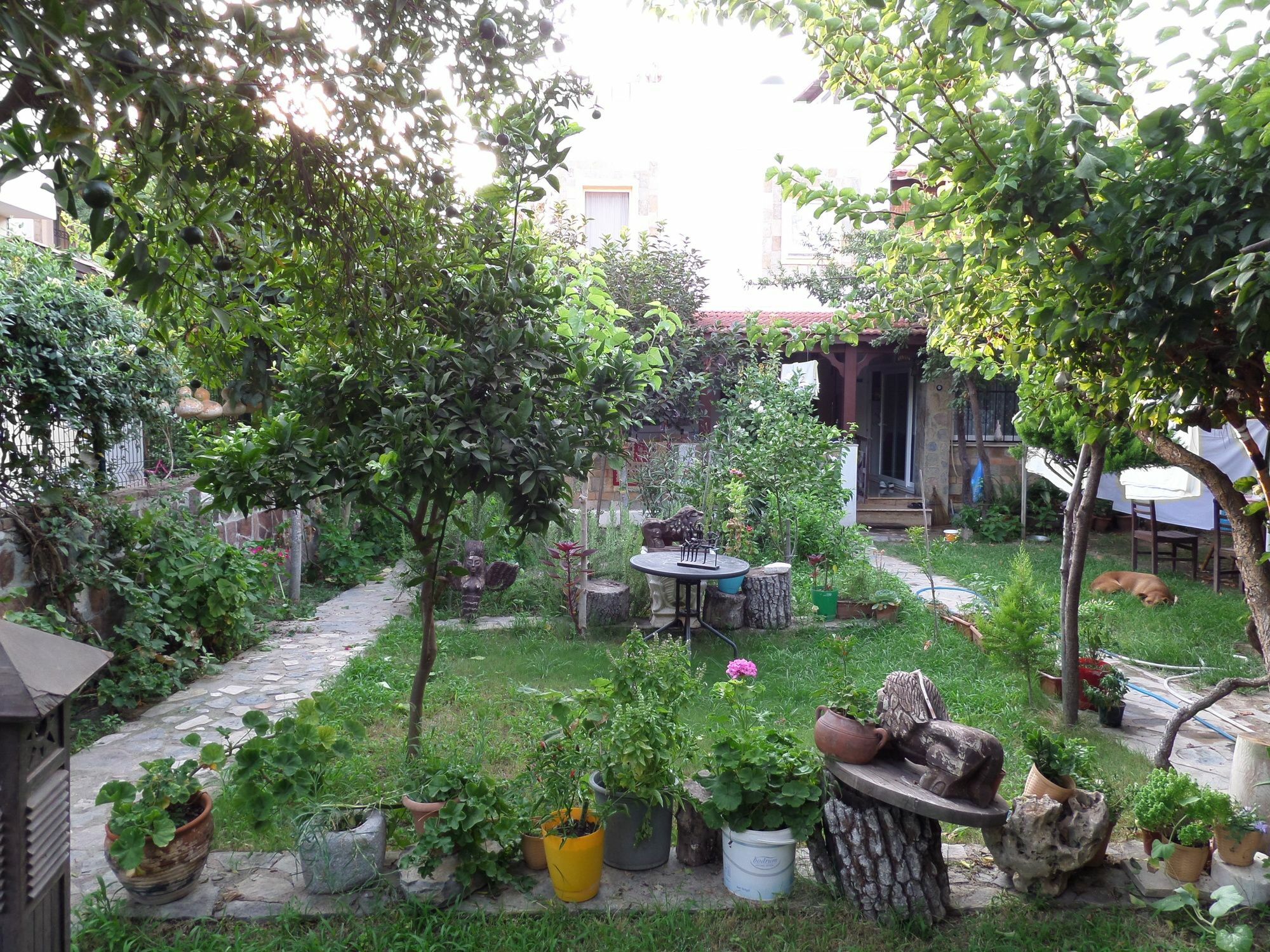 Apart Turgutreis Dış mekan fotoğraf